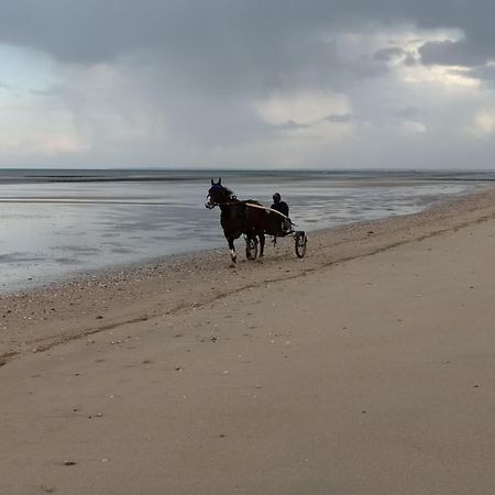 Gites "Plage" Ou "Pieds Dans L'Eau" En Front De Mer A Asnelles , 3Km D'Arromanches, 10Km De Bayeux Εξωτερικό φωτογραφία