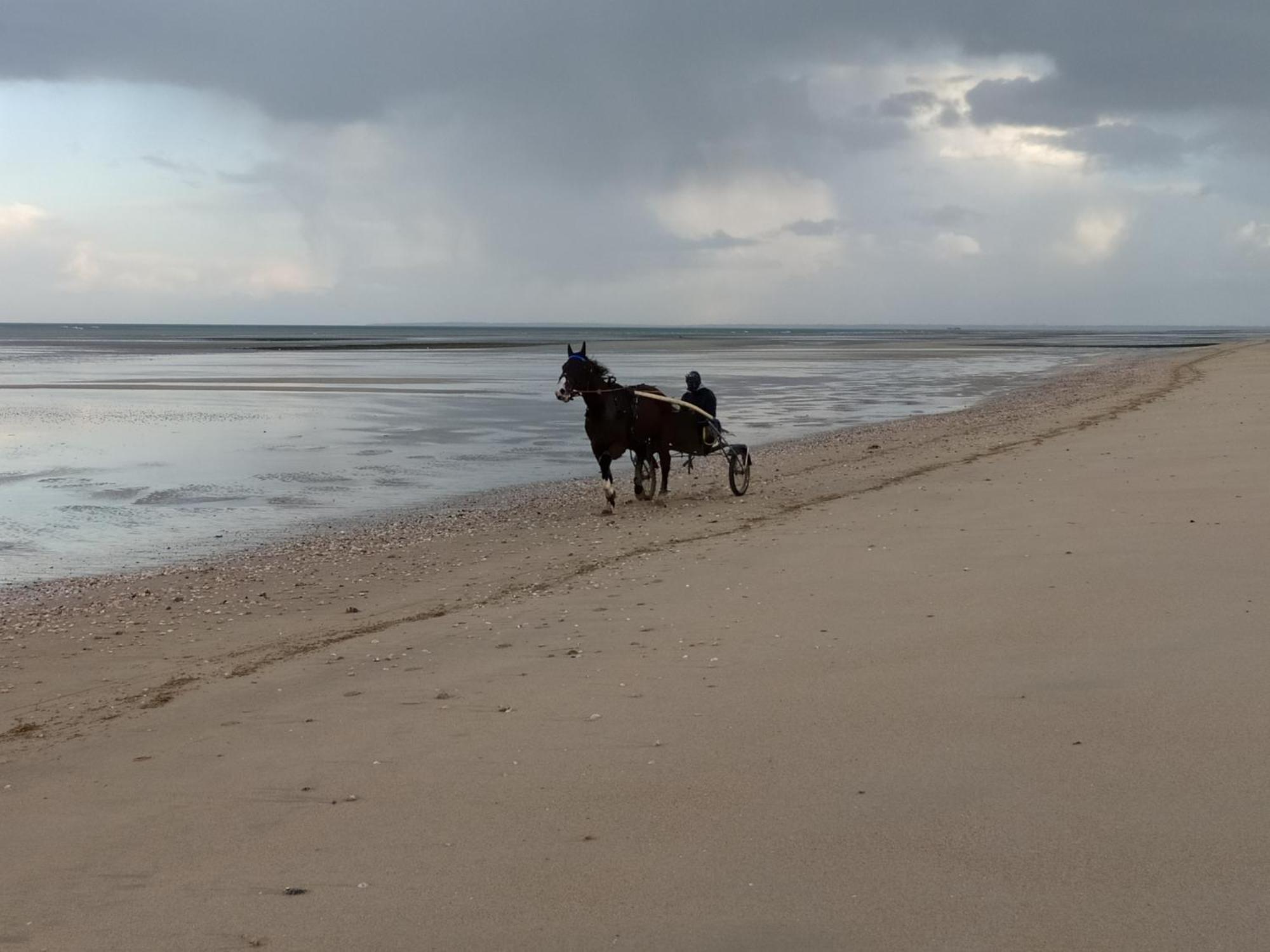 Gites "Plage" Ou "Pieds Dans L'Eau" En Front De Mer A Asnelles , 3Km D'Arromanches, 10Km De Bayeux Εξωτερικό φωτογραφία